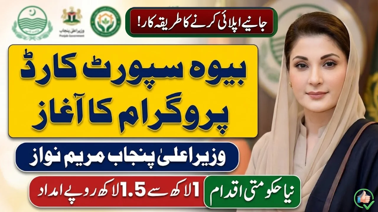 CM Punjab Launches Widow Support Card Program, Official Approval Granted